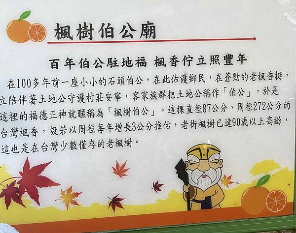 苗栗景點推薦獅潭仙草、後角烘培手作、幸福鐘樓、鐘樓古道、有機書店、獅生活減塑概念館、新店仙草、蜂蜜屋、獅潭教會、楓樹伯公廟、豬皮伯公廟、神秘小徑 (146).jpg
