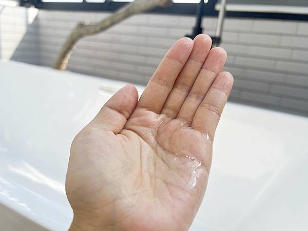 南法香頌忍冬蜂蜜洗髮精 (29).jpg