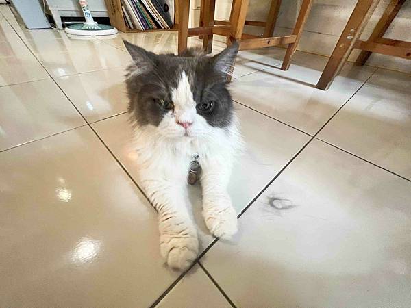 台南遊3天2夜15家必訪店家-鄉材小宿 (28).jpg