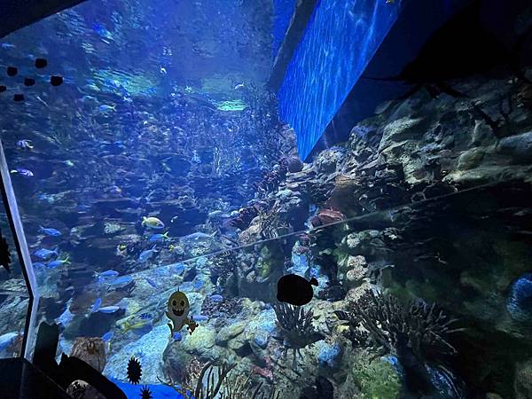 WORLD KING-中港澳 ESIM (42).jpg