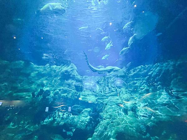 WORLD KING-中港澳 ESIM (44).jpg