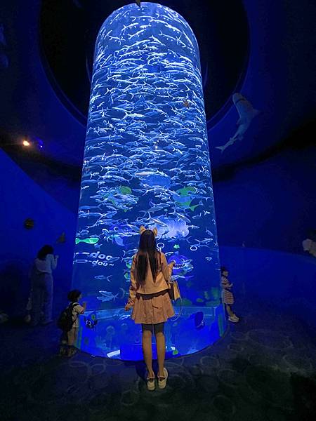 WORLD KING-中港澳 ESIM (43).jpg