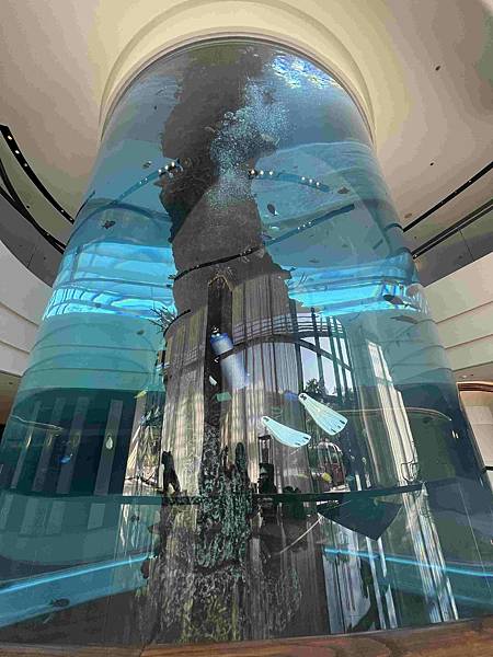 香港萬豪酒店PierLounge荔枝紅桑子蛋糕 (59).jpg