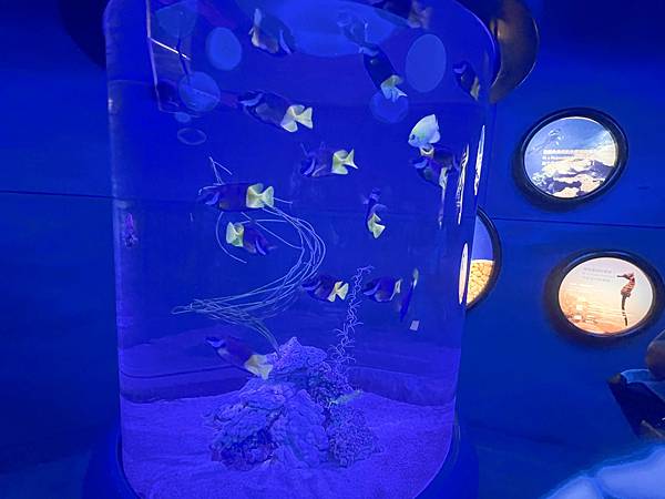 香港海洋公園 (38).jpg