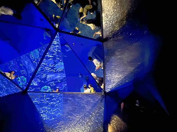 香港海洋公園 (41).jpg