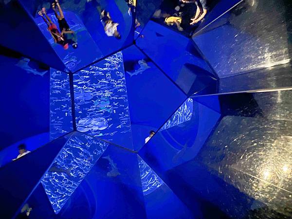 香港海洋公園 (42).jpg