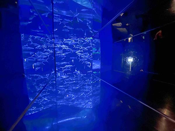 香港海洋公園 (45).jpg