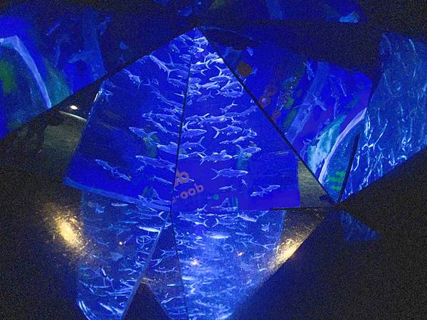 香港海洋公園 (46).jpg