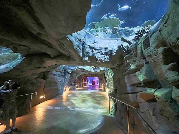 香港海洋公園 (49).jpg