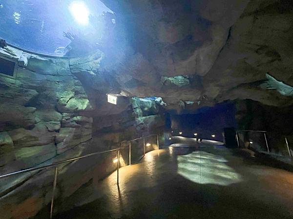 香港海洋公園 (52).jpg