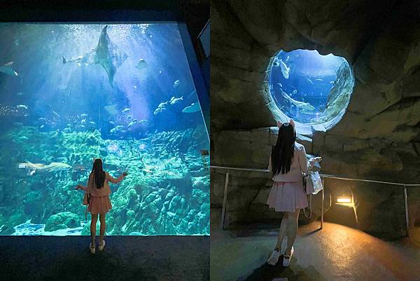 香港海洋公園 (53).jpg