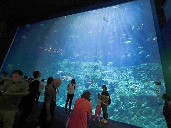 香港海洋公園 (56).jpg
