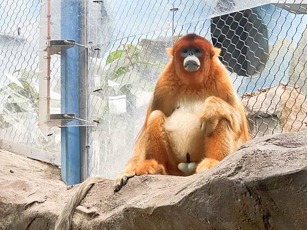 香港海洋公園 (67).jpg