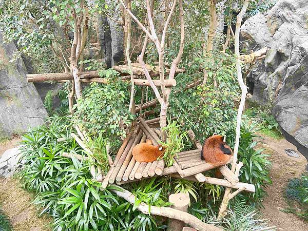 香港海洋公園 (79).jpg