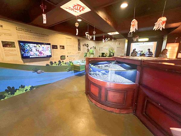 香港海洋公園 (92).jpg