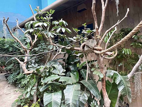 香港海洋公園 (139).jpg