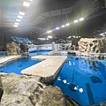 香港海洋公園 (171).jpg