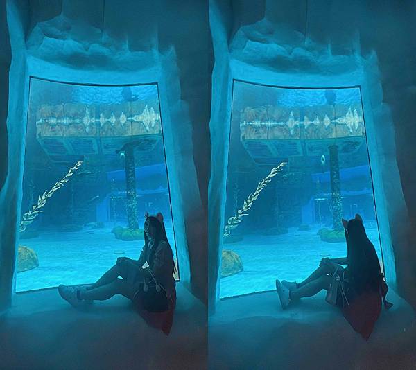 香港海洋公園 (181).jpg