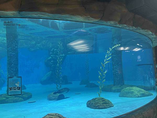香港海洋公園 (186).jpg