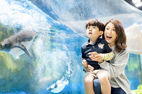 香港海洋公園 (13).jpg