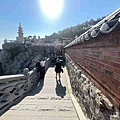 KKday釡山精華景點一日遊 (27).jpg