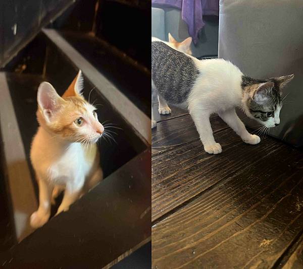 奔FUN足體工坊 (12).jpg