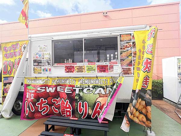 WORLD KING日本上網卡E-SIM (22).jpg