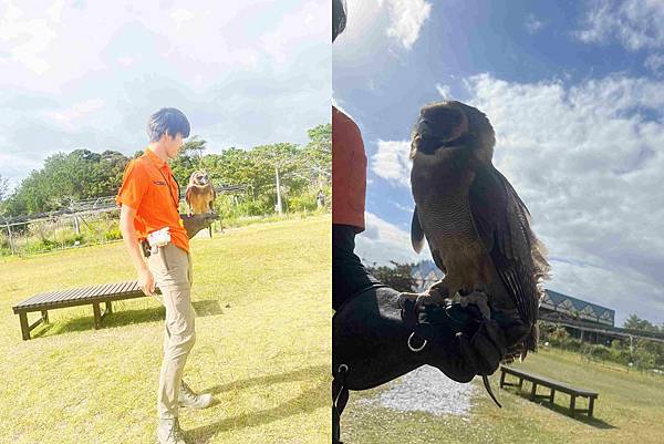 WORLD KING日本上網卡E-SIM (56).jpg