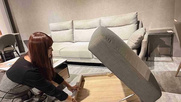 沙發先生  (11).jpg