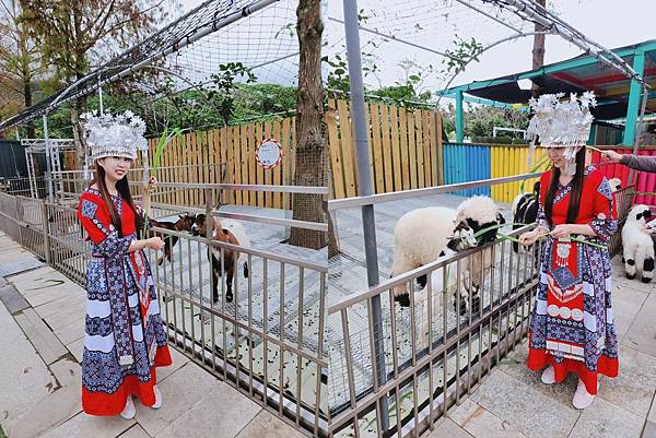 洄瀾灣親子動物園區 (32).jpg