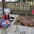 洄瀾灣親子動物園區 (37).jpg