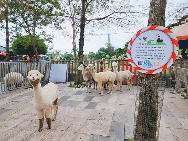 洄瀾灣親子動物園區 (36).jpg