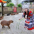 洄瀾灣親子動物園區 (38).jpg