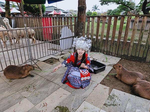 洄瀾灣親子動物園區 (39).jpg