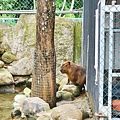 洄瀾灣親子動物園區 (41).jpg