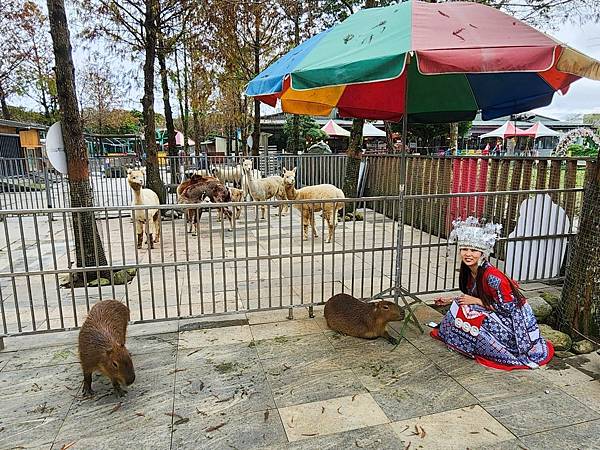 洄瀾灣親子動物園區 (43).jpg