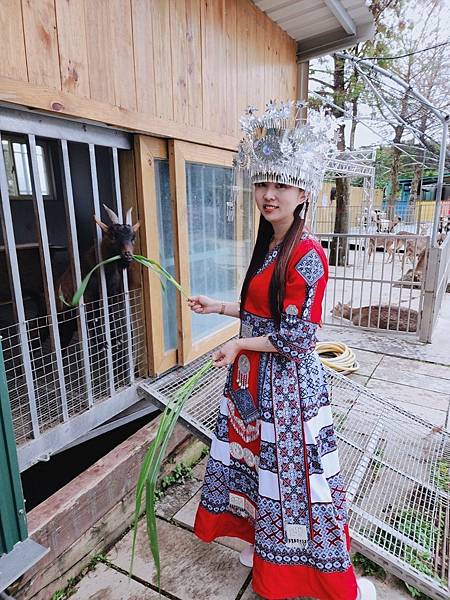 洄瀾灣親子動物園區 (46).jpg