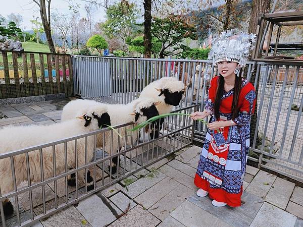 洄瀾灣親子動物園區 (45).jpg