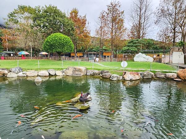 洄瀾灣親子動物園區 (62).jpg