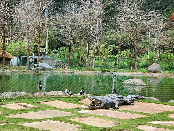 洄瀾灣親子動物園區 (69).jpg