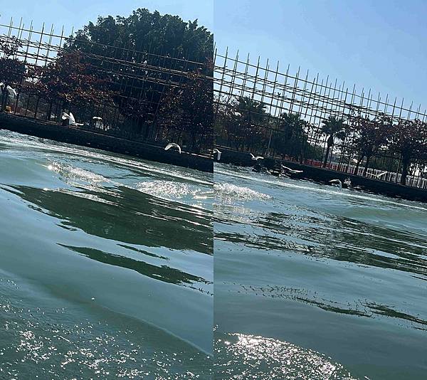 亞菓遊艇會 (14).jpg