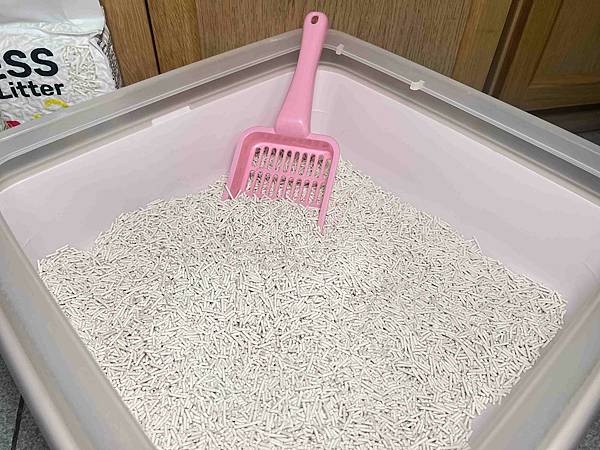 超吸⽔無粉塵⾖腐砂推薦_喵趣Maoch (18).jpg