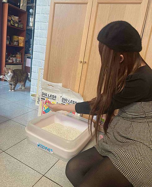 超吸⽔無粉塵⾖腐砂推薦_喵趣Maoch (22).jpg