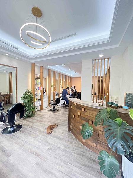 蓁HAIR(金韓今) (11).jpg