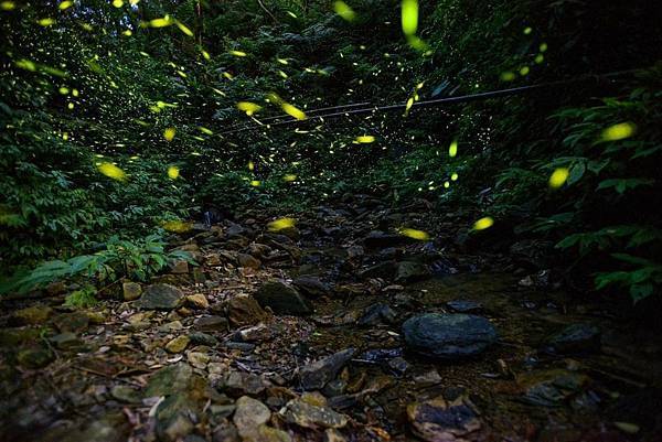 2024火金姑的故鄉小礁溪 (1).jpg