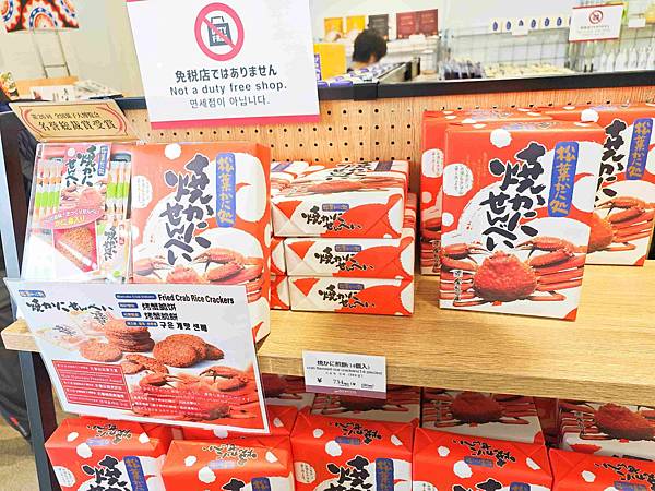 鳥取砂丘機場(柯南機場) (71).jpg