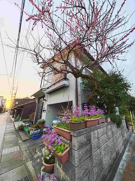 白壁土蔵群 (9).jpg