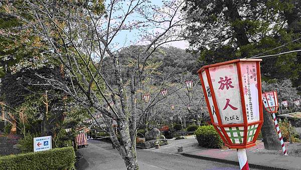 鳥取打吹公園 (1).jpg