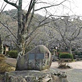 鳥取打吹公園 (2).jpg