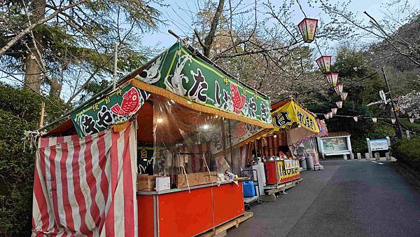 鳥取打吹公園 (4).jpg